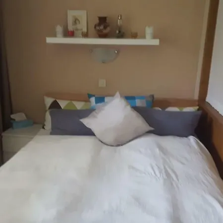 Alpina 335 Chiemgaukarte Apartmán Inzell